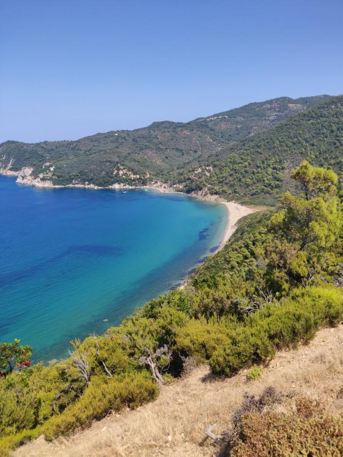 Taxiarchis Apartments Skiathos Exterior foto